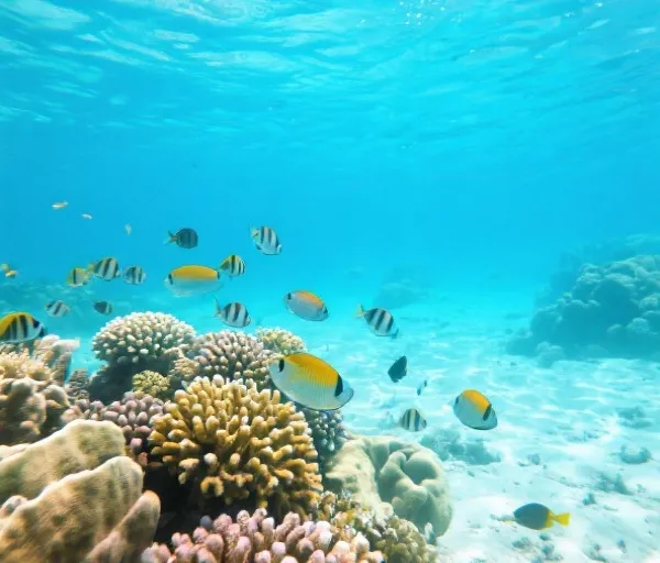 阳光浅滩